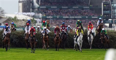 grand national aintree results|Relive Grand National as I Am Maximus triumphs at Aintree .